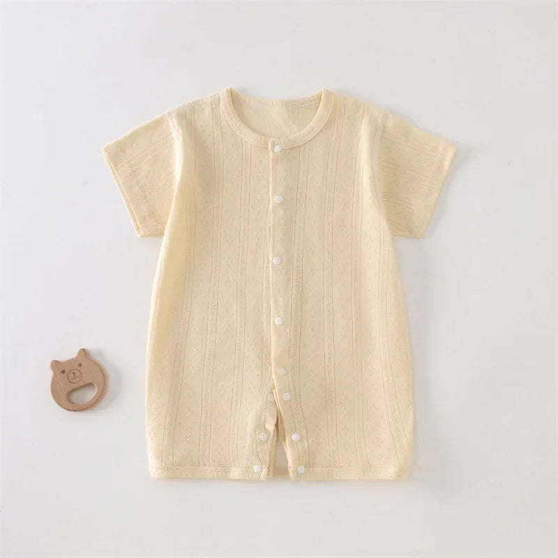 S3856945198c549baab2934d648ef6c35u
